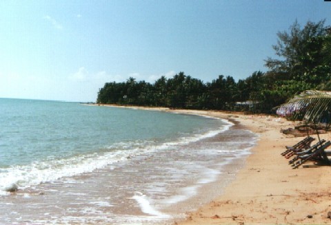 Strand auf Koh Samui