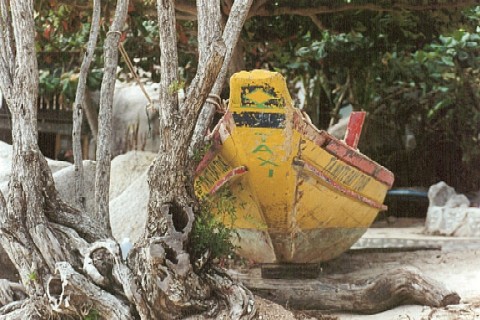 Taxiboot Tanote Bay